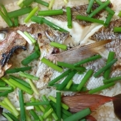 昨日、東京湾剣崎沖で釣った真鯛で作りました。贅沢に1枚丸々使っただけあって、美味しかったです。小さい0.9kのを選びましたが、尻尾切らないと収まりませんでした。